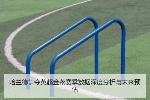 哈兰德争夺英超金靴赛季数据深度分析与未来预估
