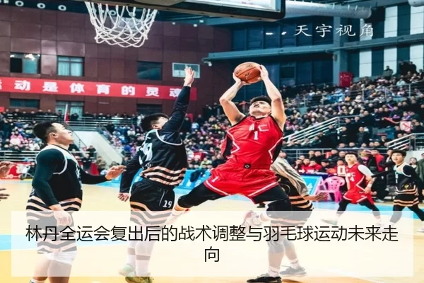 林丹全运会复出后的战术调整与羽毛球运动未来走向